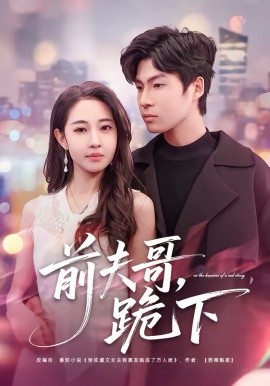 前夫哥，跪下海报