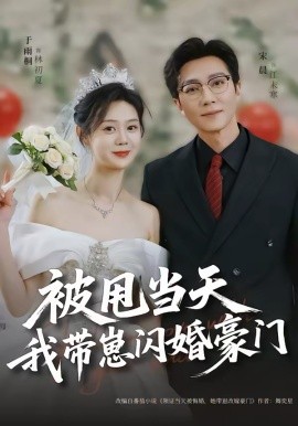 被甩当天我带崽闪婚豪门海报