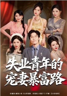 失业青年的宠妻暴富路海报