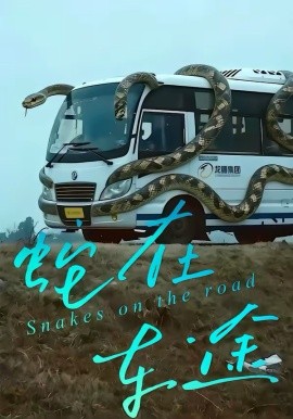 蛇在车途海报
