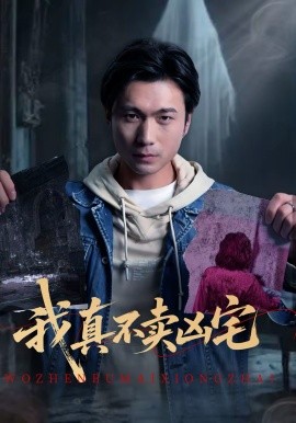 我真不卖凶宅海报