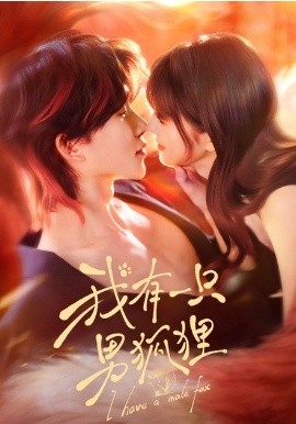 我有一只男狐狸海报