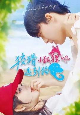 狡猾小狐狸遇到狗海报