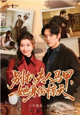 别扒夫人马甲，她身份惊天海报