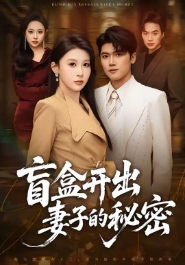 盲盒开出妻子的秘密海报
