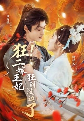 狂！二嫁王妃狂到没边了海报
