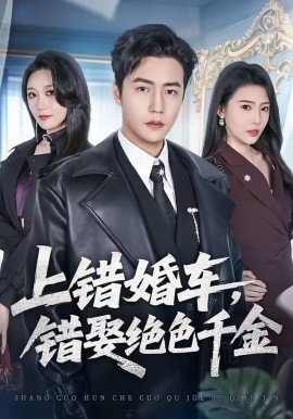 上错婚车，错娶绝色千金海报