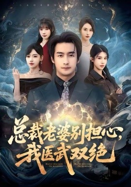 总裁老婆别担心，我医武双绝海报