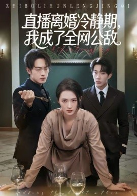 直播离婚冷静期，我成了全网公敌海报