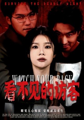 看不见的访客海报