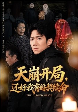 天崩开局，还好我有婚契续命海报
