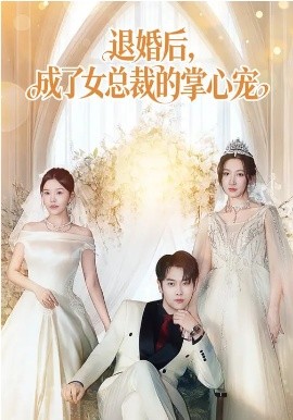 退婚后，成了女总裁的掌心宠海报