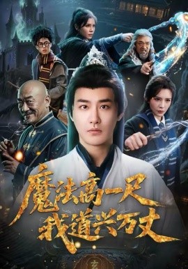 魔法高一尺我道兴万丈海报