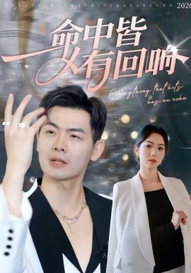 命中皆有回响海报