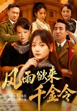 风雨欲来千金令海报
