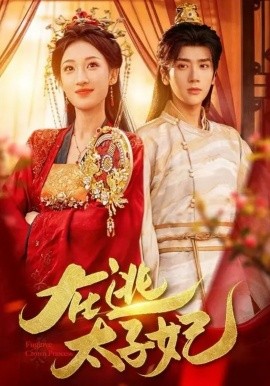 在逃太子妃海报