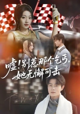 嘘！别惹那个乞丐，她无懈可击海报