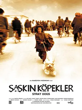 流浪狗2004[电影解说]海报
