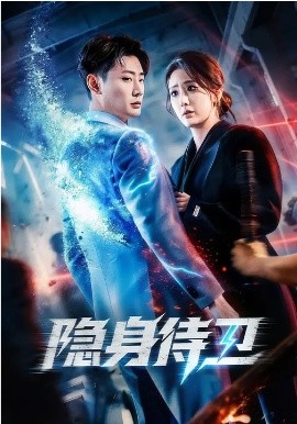 隐身侍卫海报