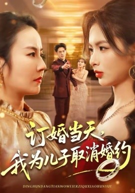 订婚当天，我为儿子取消婚约海报