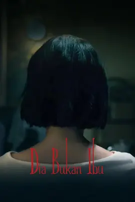 她不是我妈妈[电影解说]海报