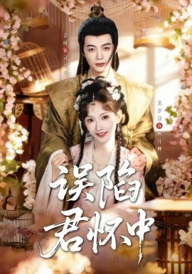 误陷君怀中海报