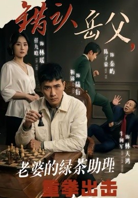 错认岳父，老婆的绿茶助理重拳出击海报
