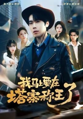 我马上要在塔寨称王了海报