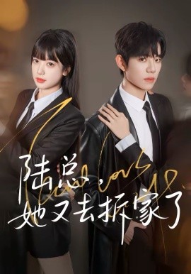 陆总，她又去拆家了海报