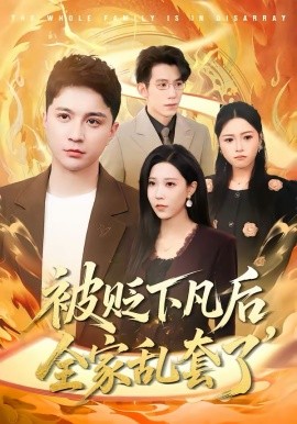 被贬下凡后全家乱套了海报