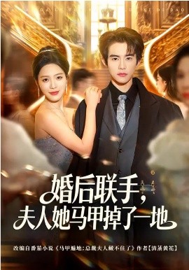 婚后联手，夫人她马甲掉了一地海报