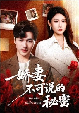 娇妻不可说的秘密海报