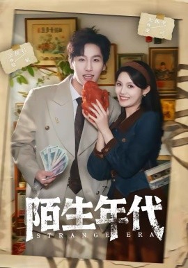 陌生年代海报