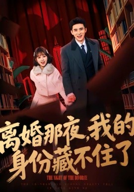离婚那夜，我的身份藏不住了海报