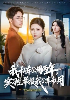 我私车公用两年，实习生举报我公车私用海报