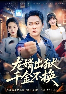 龙婿出狱，千金不换海报