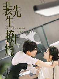 裴先生撩上瘾海报