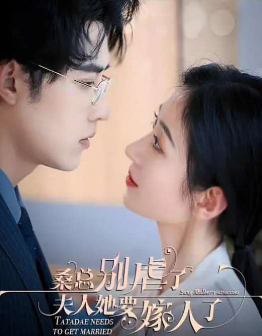 桑总别虐了，夫人她要嫁人了海报
