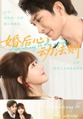 婚后心动法则海报