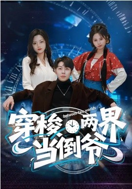 穿梭两界当倒爷海报