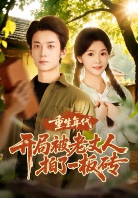 重生年代开局被老丈人拍了一板砖海报