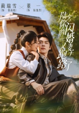 陆少，你的闪婚妻子又跑路了海报
