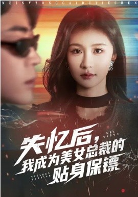失忆后，我成为美女总裁的贴身保镖海报