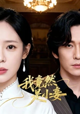 我竟然是小妾海报