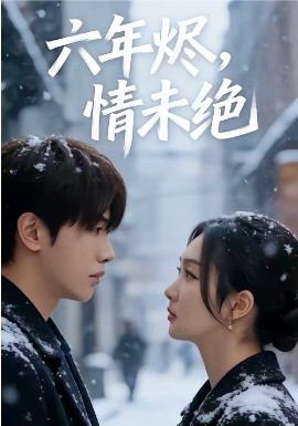 六年烬，情未绝海报