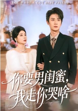 你要男闺蜜，我走你哭啥海报