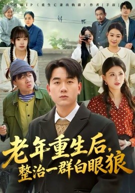 老年重生后，整治一群白眼狼海报
