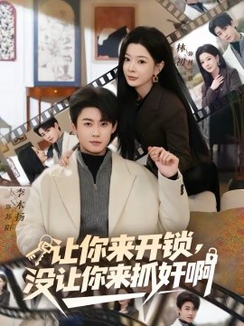让你来开锁，没让你来抓奸啊海报