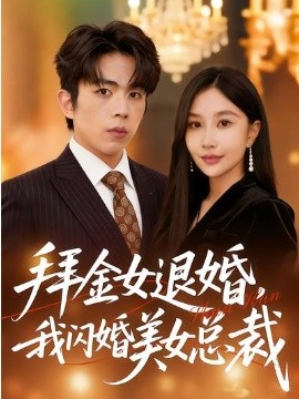 拜金女退婚，我闪婚美女总裁海报