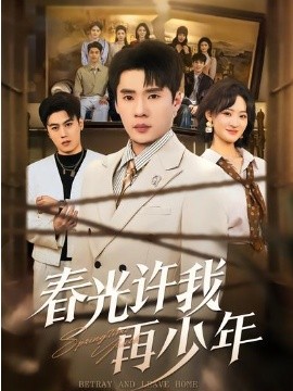 春光许我再少年海报